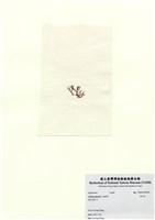 藏品(巢沙菜)的圖片